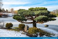 An idyllic garden at Kanchi-in House in To-ji Temple in Kyoto,Japan #japanesegardening ...